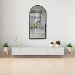 TINITALO Modern Elegance Semi Circle Wall-Mounted Mirror Metal Framed Wall Mirror Bathroom Mirror Living Room Mirror Home Decor Mirror 24 x 48 Inches Black MF 84